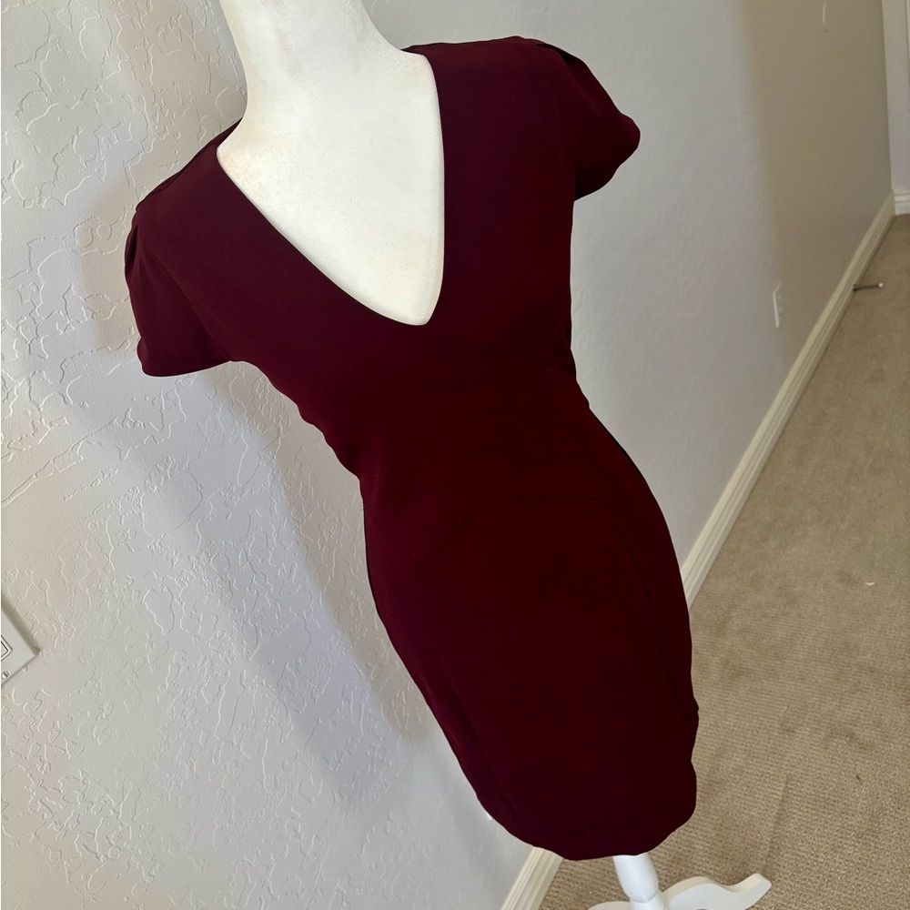 EXPRESS Tulip-Sleeve Sheath Dress Sz S